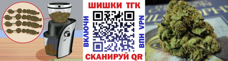 Canna-Cookies марихуана  Купить закладки  Дзержинск 