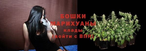 сатива Волосово