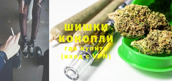 сатива Волосово