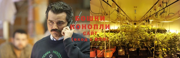 сатива Волосово
